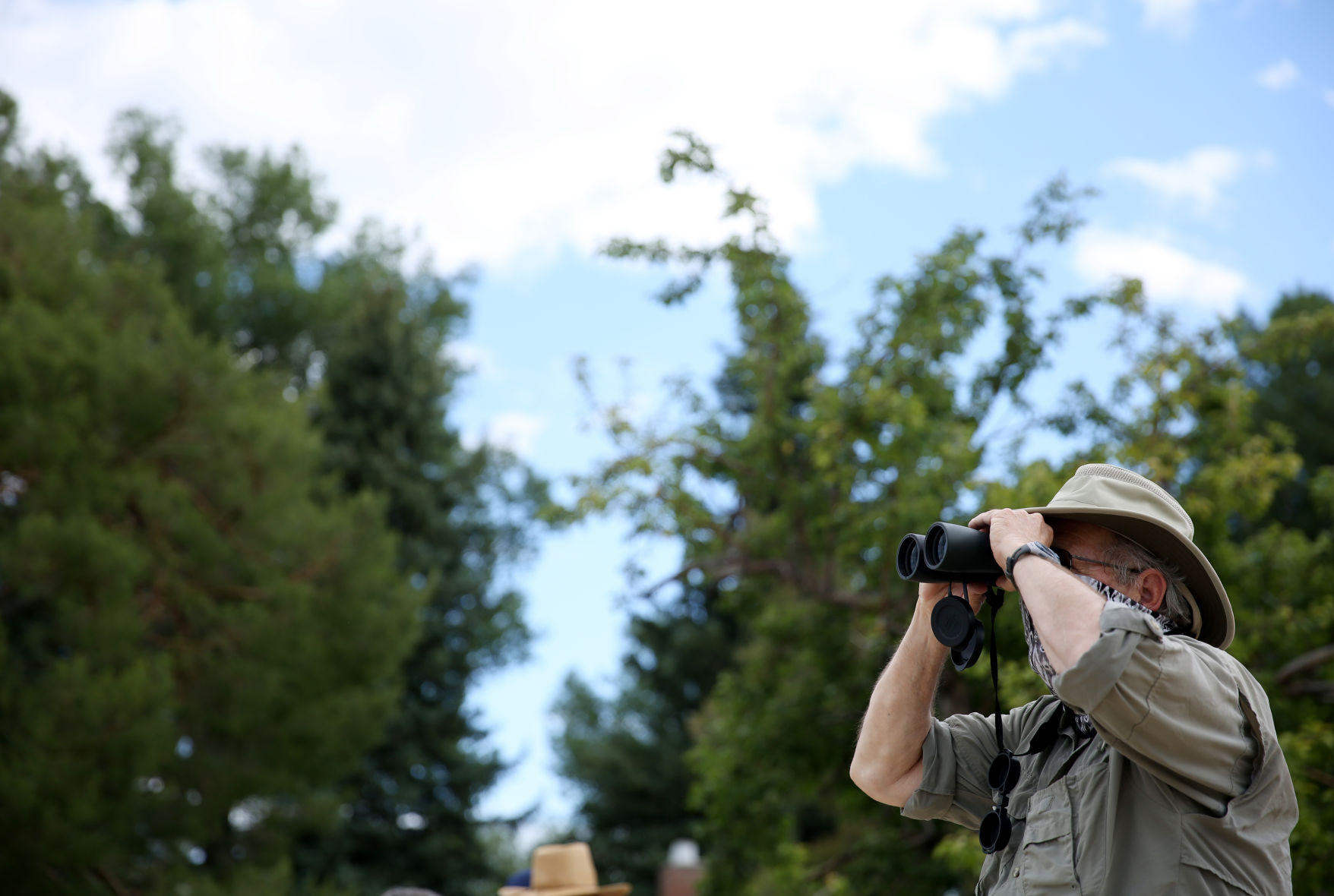 Rob Davidson watches hummingbirds, the osprey nest, and barn swallows